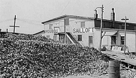 Delaware Bay Oyster Farming